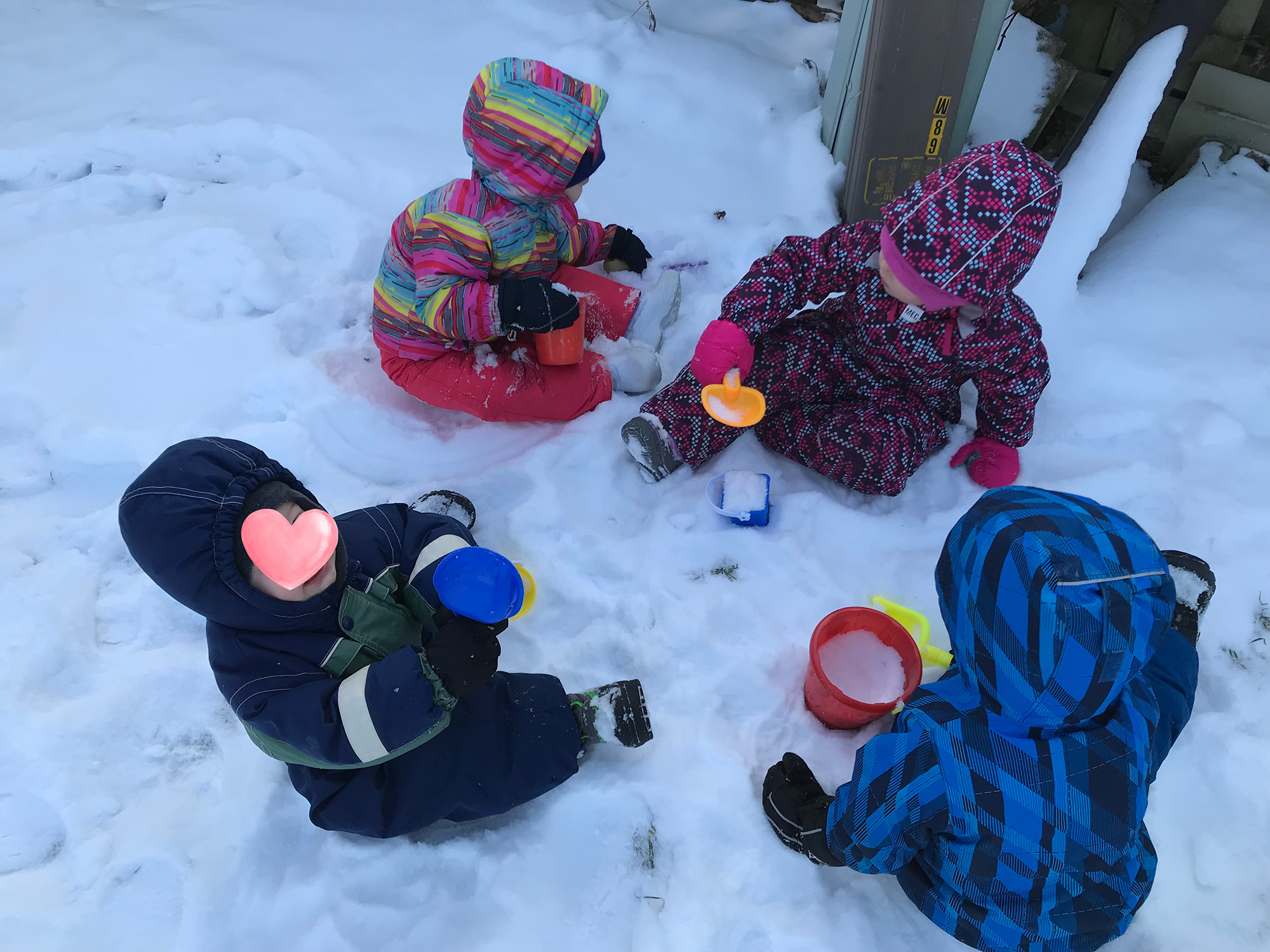 playing in the snow